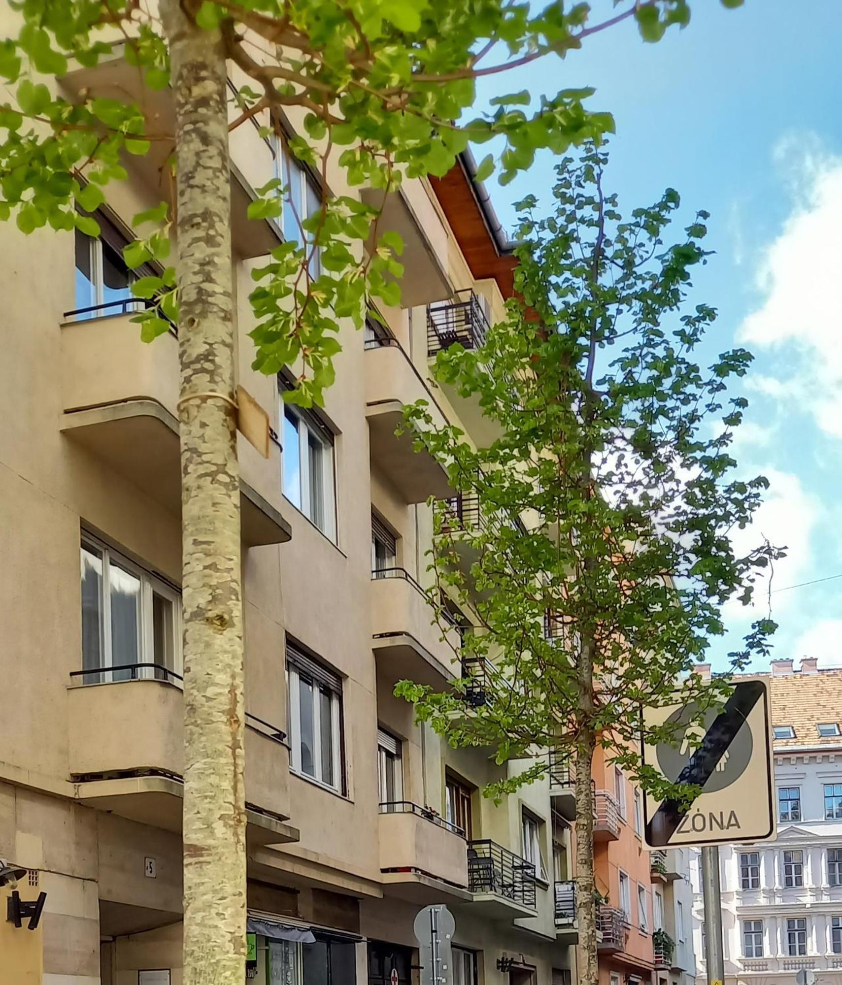 Appartamento Dinerdowntown In Vaci Street With Free Garage Budapest